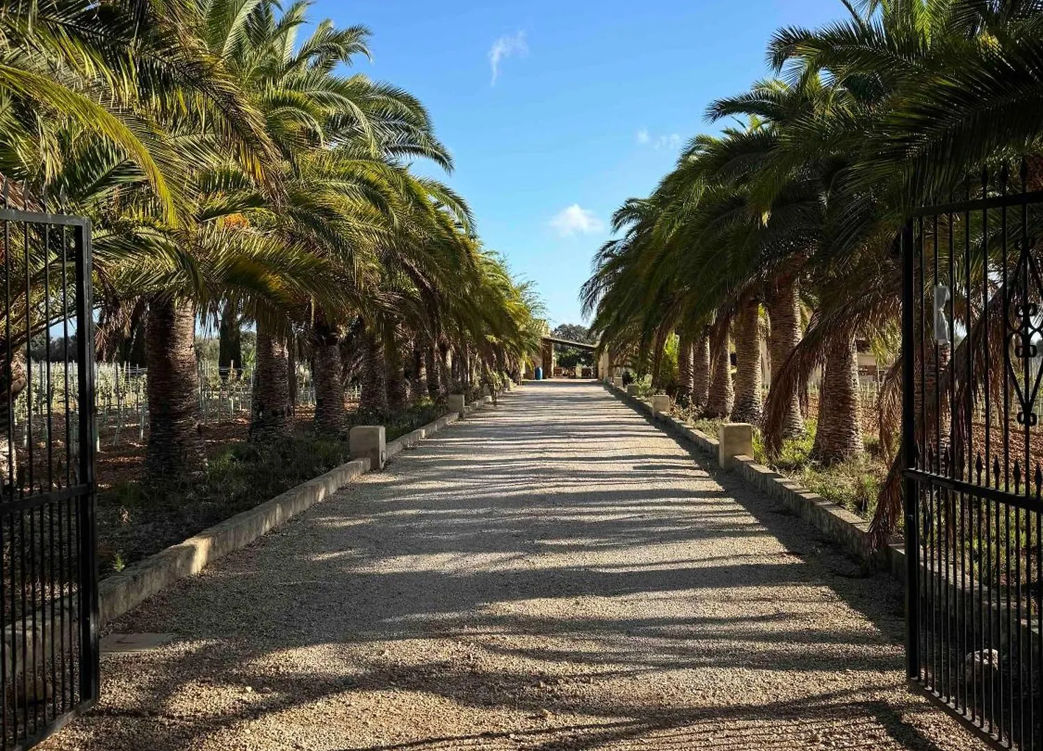 Finca Bella Vida Binissalem