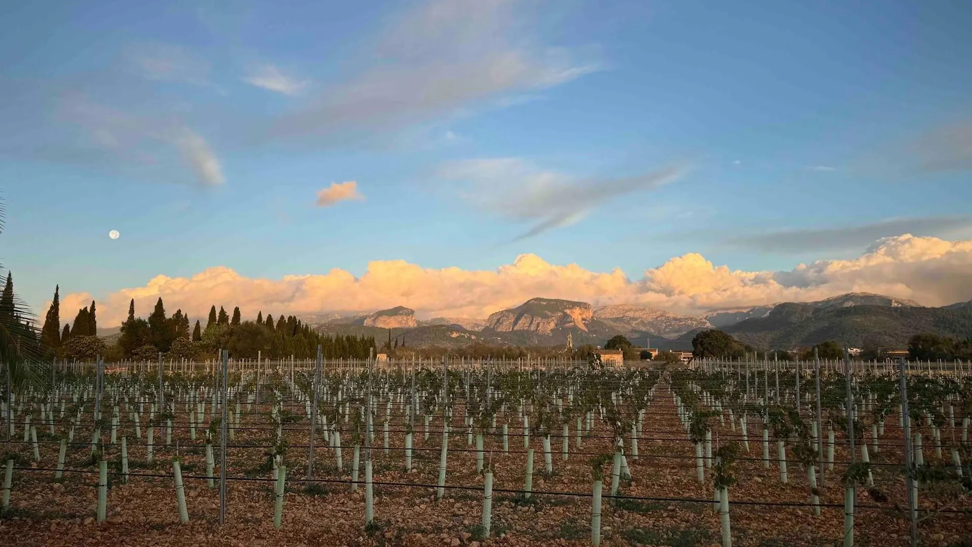 Finca Bella Vida Binissalem