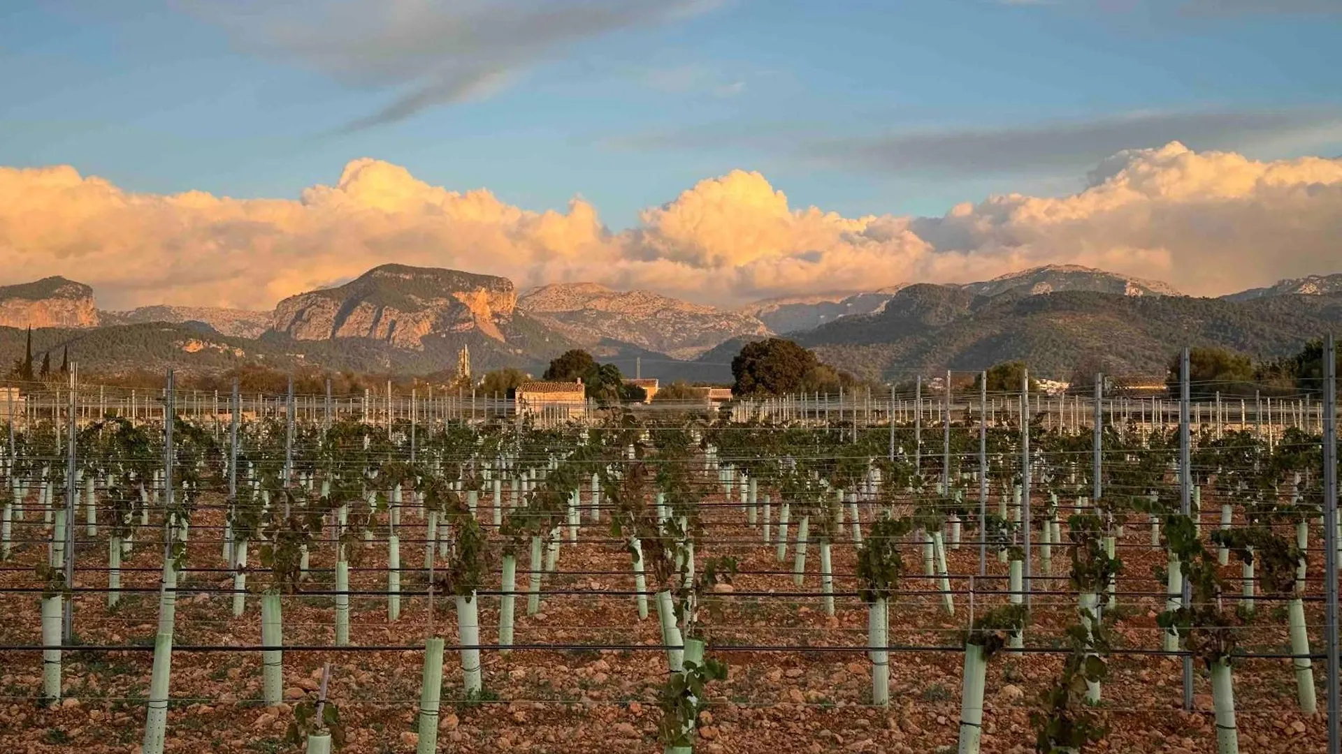 Finca Bella Vida Binissalem 0*,  Spain