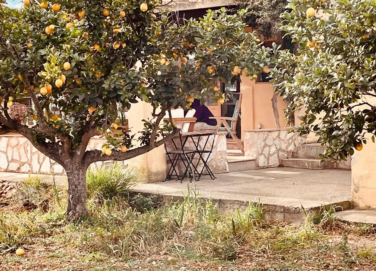 Finca Bella Vida Binissalem 0*,  Spain