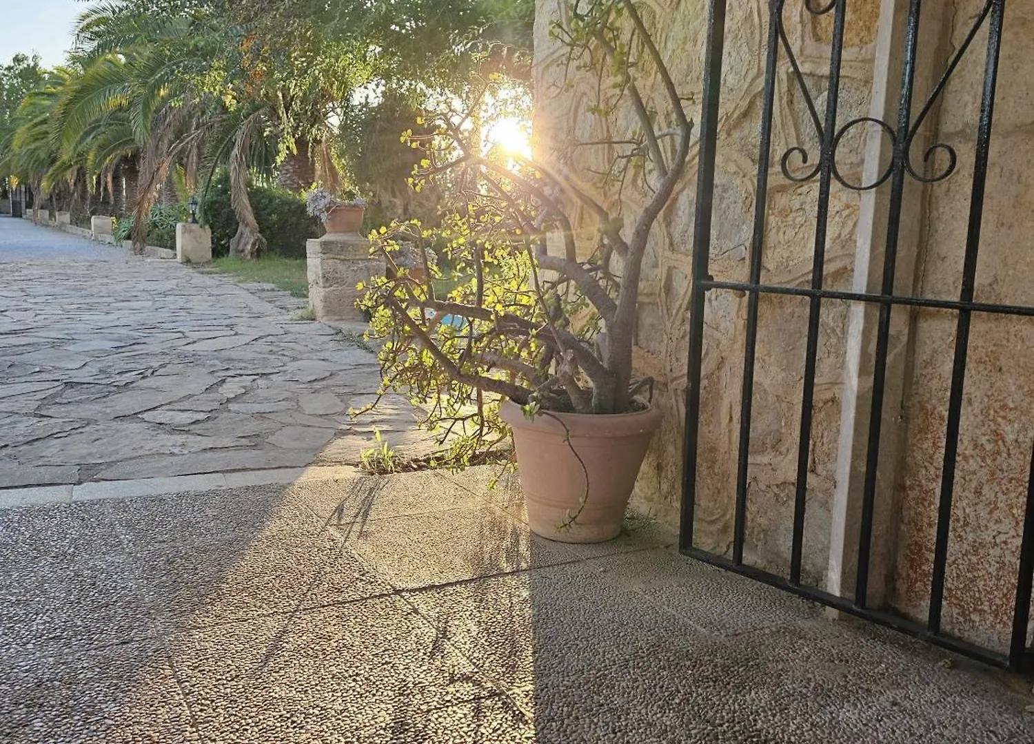 Finca Bella Vida Binissalem 0*,  Spain