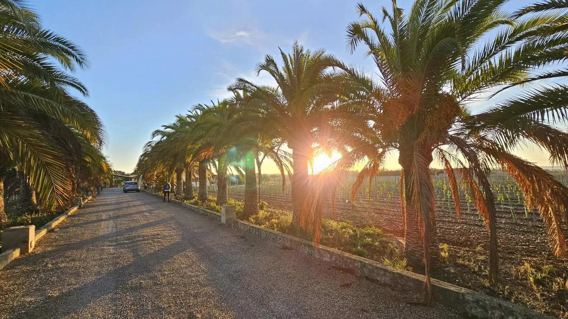 Finca Bella Vida Binissalem